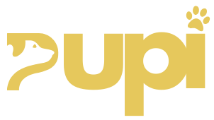 Pupi